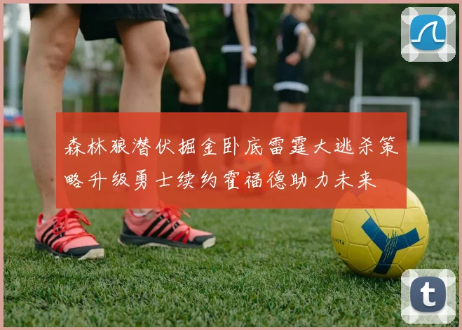 森林狼潜伏掘金卧底雷霆大逃杀策略升级勇士续约霍福德助力未来