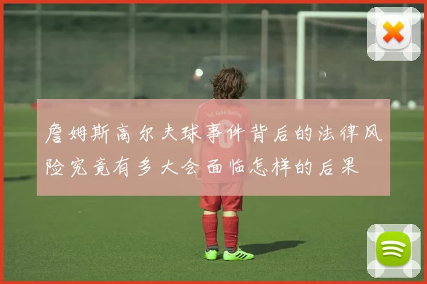 詹姆斯高尔夫球事件背后的法律风险究竟有多大会面临怎样的后果